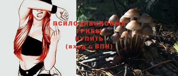ECSTASY Зеленокумск