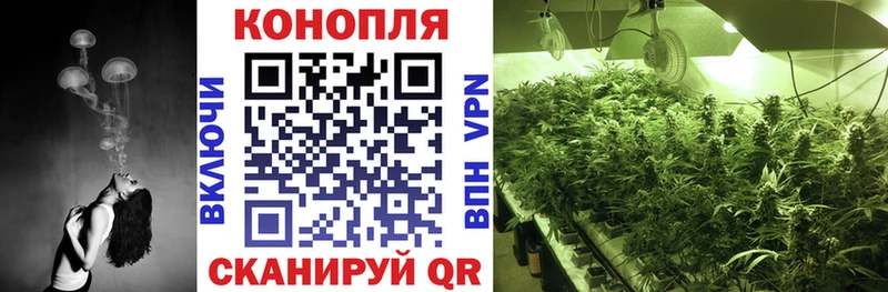 Купить где  Ишим  Шишки марихуана SATIVA & INDICA 